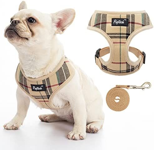 PUPTECK Soft Mesh Dog Harness Pet Puppy Cat Comfort Padded Vest No Pull Harnesses | Amazon (US)