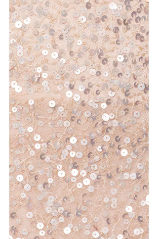 Bellini Sequin Dress in Cherry Blossom | Revolve Clothing (Global)