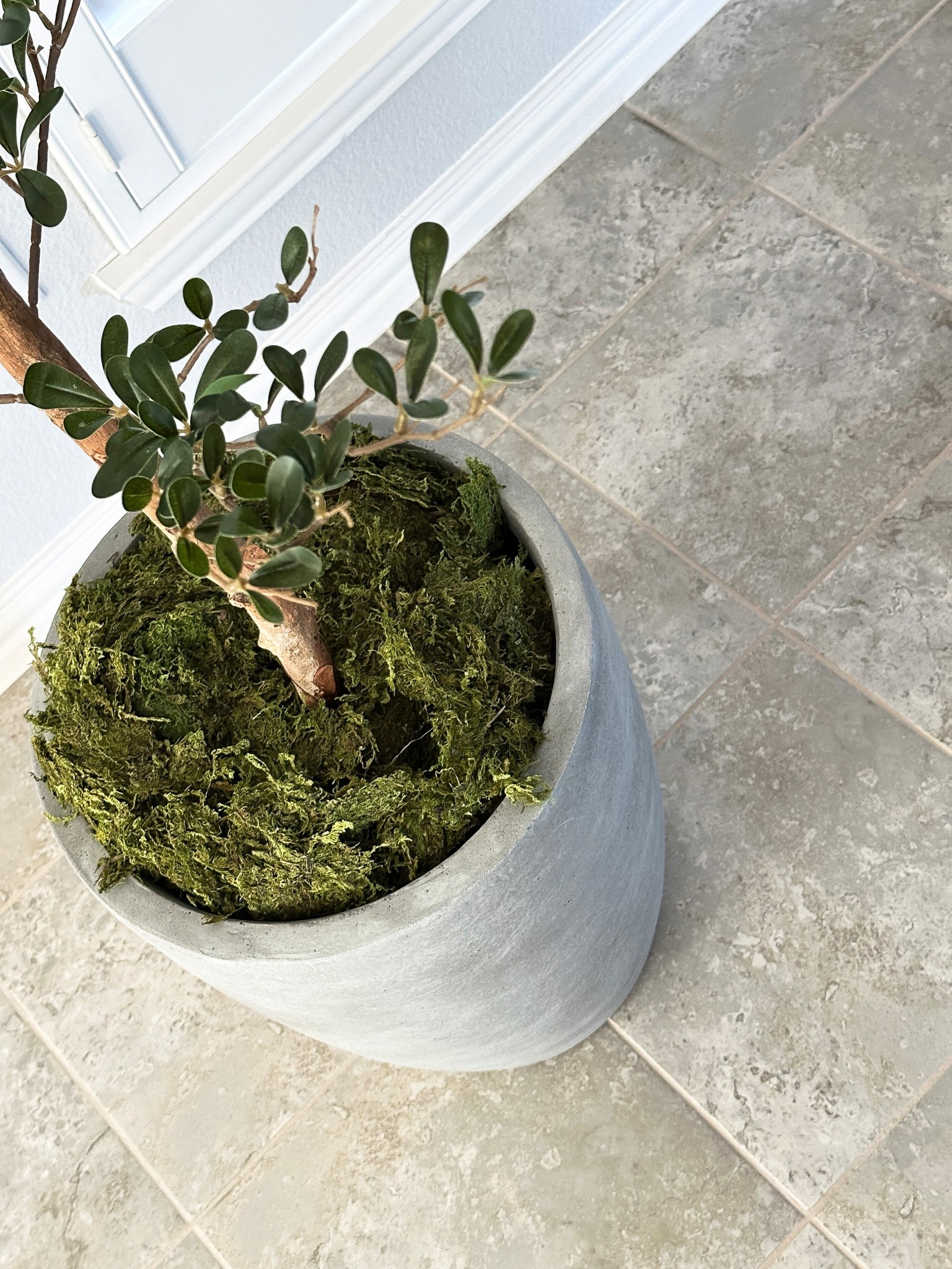 it’s all about the pot! 

#LTKSaleAlert #LTKSeasonal #LTKHome