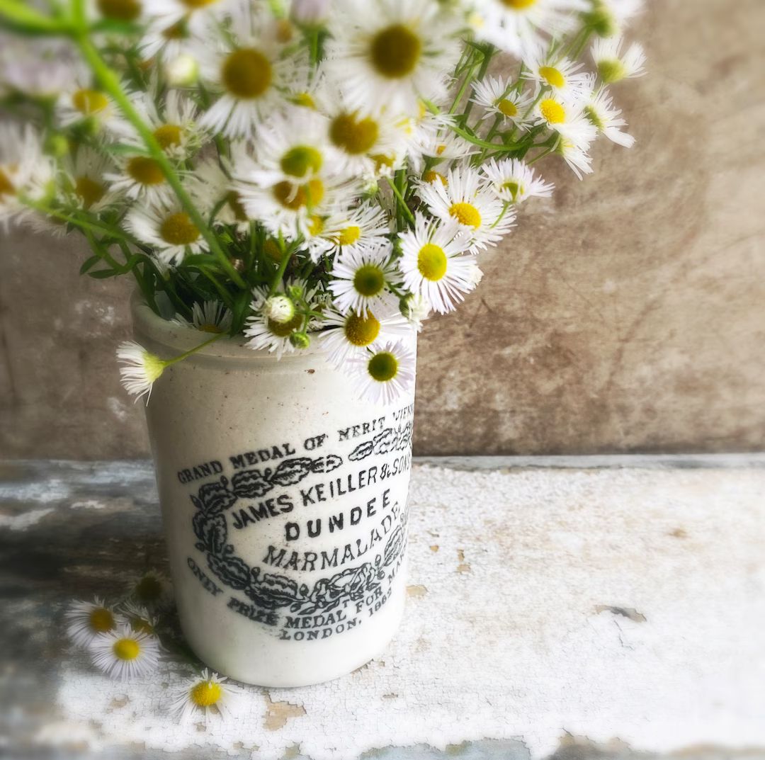 Antique Dundee Advertising Jar. Ironstone Marmalade Crock. Vintage Crockery. Brocante Style Count... | Etsy (US)