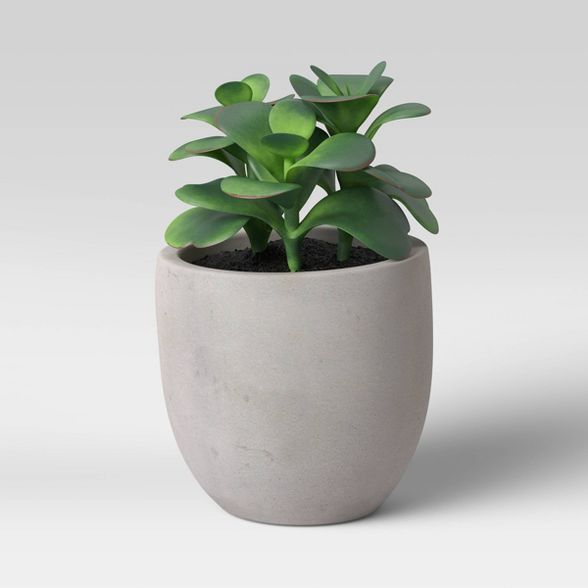 Colorful Succulent in Pot Gray/Green - Project 62™ | Target