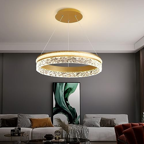 Modern LED Chandelier 1 Ring 19.7in Pendant Lighting for Kitchen Island 50W Dimmable LED Pendant Ceiling Light Gold Hanging Light with Remote for Kitchen Dining Room Bedroom Living Room | Amazon (US)