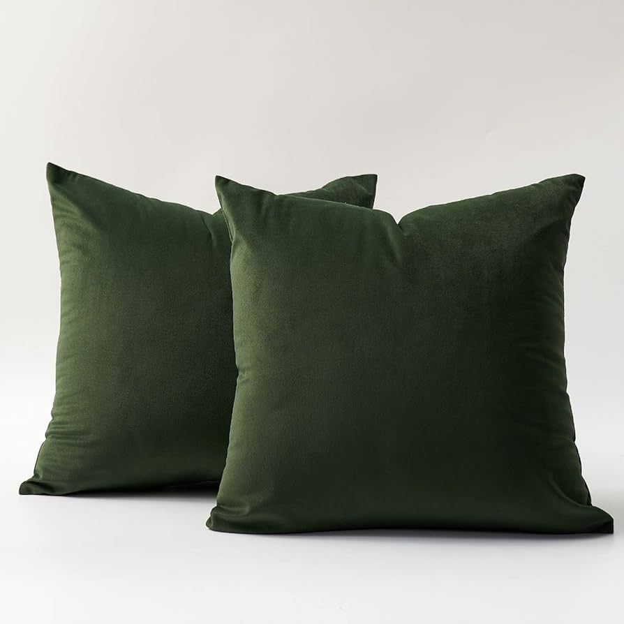 DOMVITUS 20x20 Pillow Covers Set of 2 Velvet Throw Pillow Covers Decorative Pillows for Bed Squar... | Amazon (US)