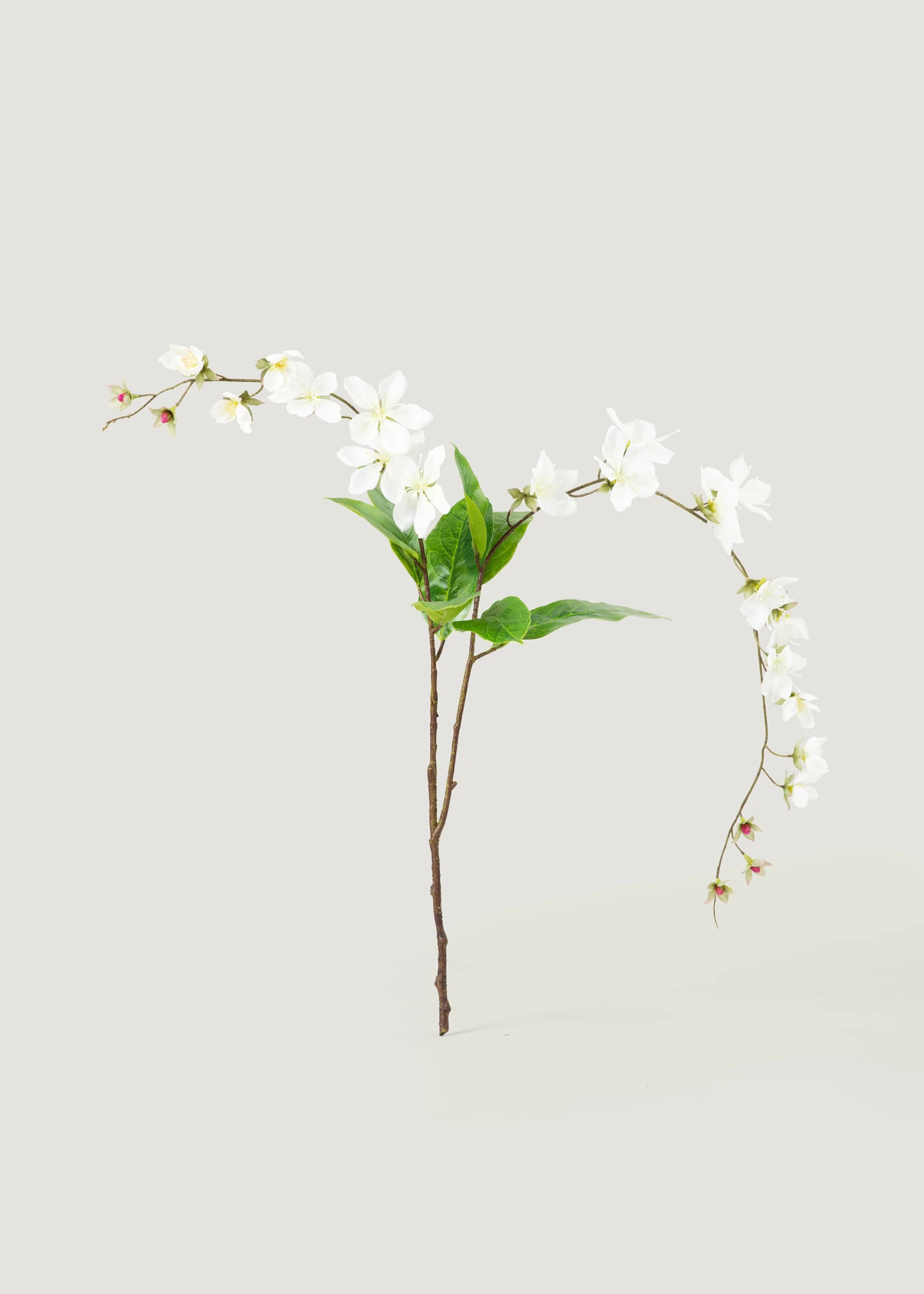 Peach Blossom in White | Artificial Spring Flower Branches | Afloral | Afloral