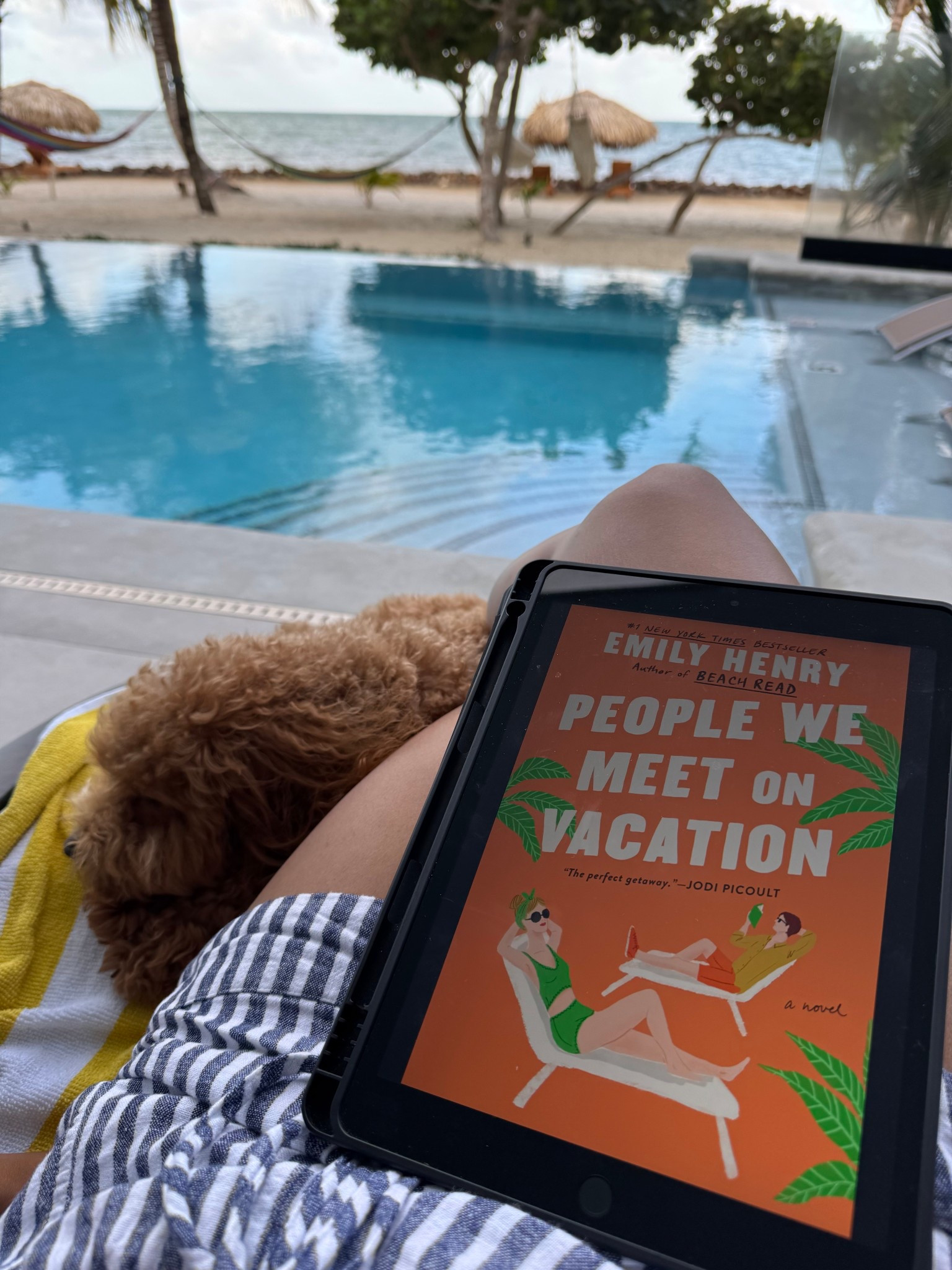 Next summer vacation read- people we meet on vacation. The perfect book to read this summer!

#LTKSummerEdit