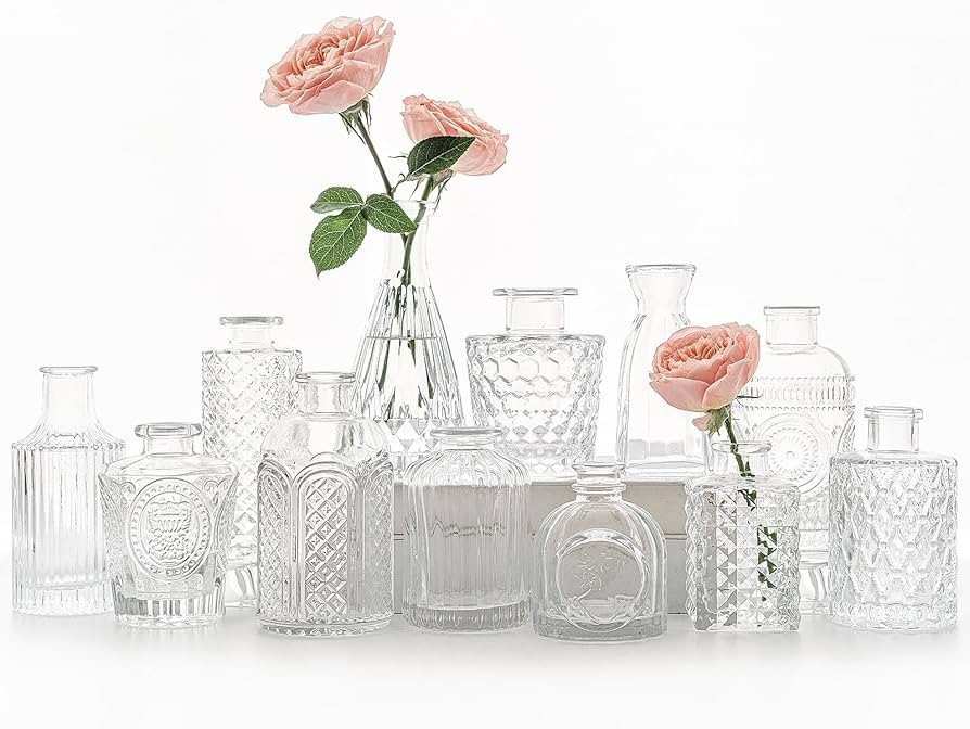 12pcs Glass Bud Vase Set, Small Clear Flower Vases for Centerpieces in Bulk, Mini Vintage Vase fo... | Amazon (US)