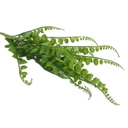 Outtop Green Artificial Plastic Small Leaves Plant Eucalyptus Grass Home Wedding Decor | Walmart (US)