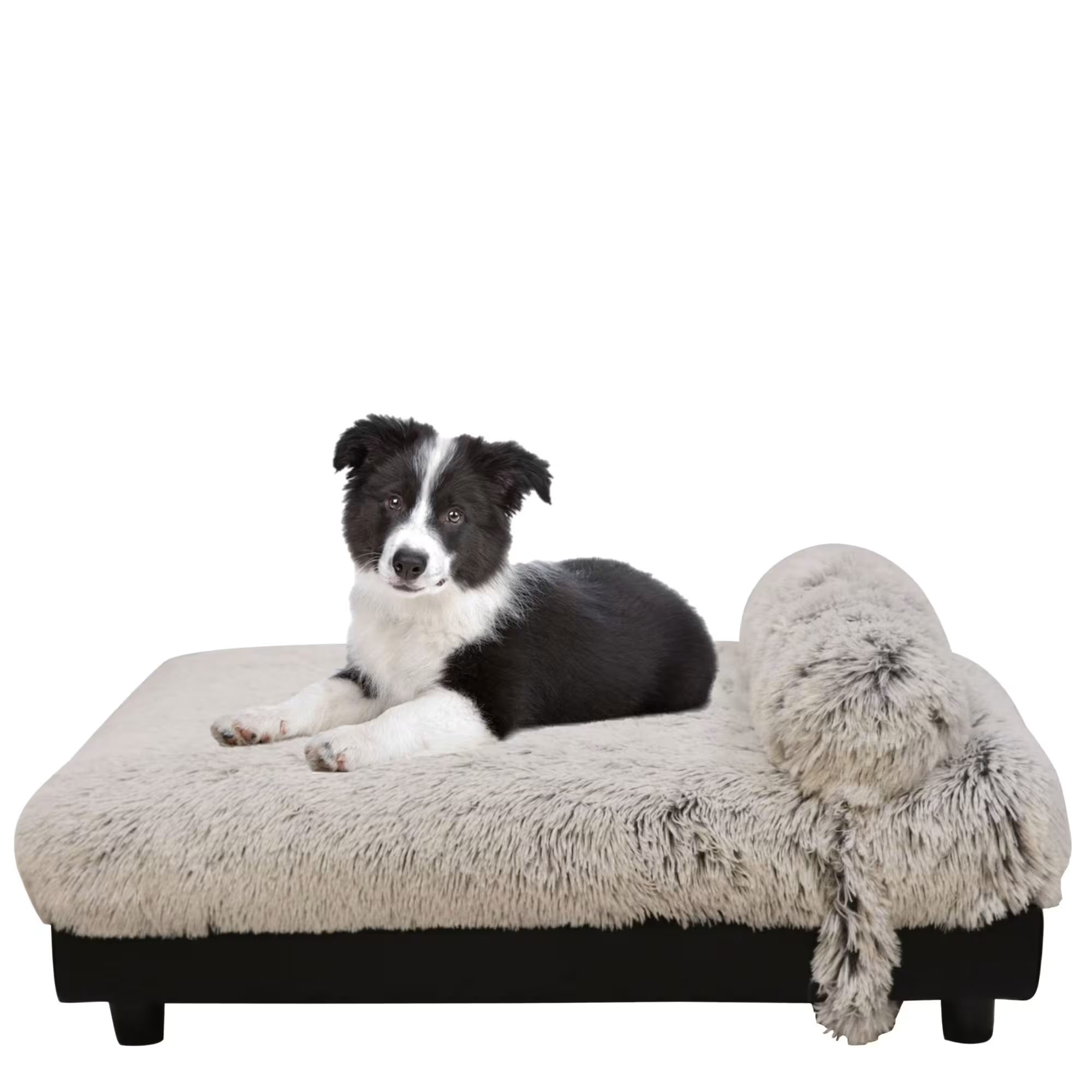 Club Nine Pets Ivory Milo Orthopedic Dog Bed, 24" L X 34" W | Petco