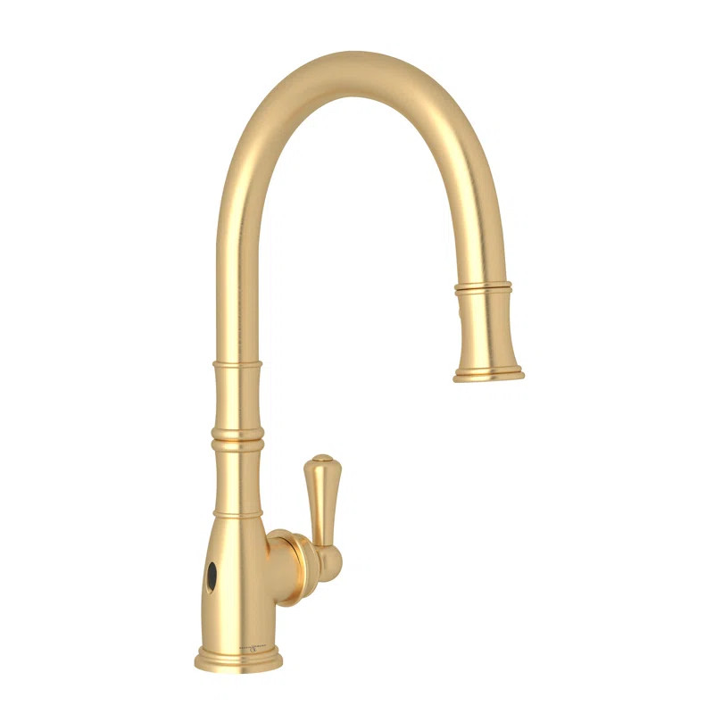 Georgian Era™ Pull-Down Single Handed Kitchen Faucet With Accessories | Wayfair North America
