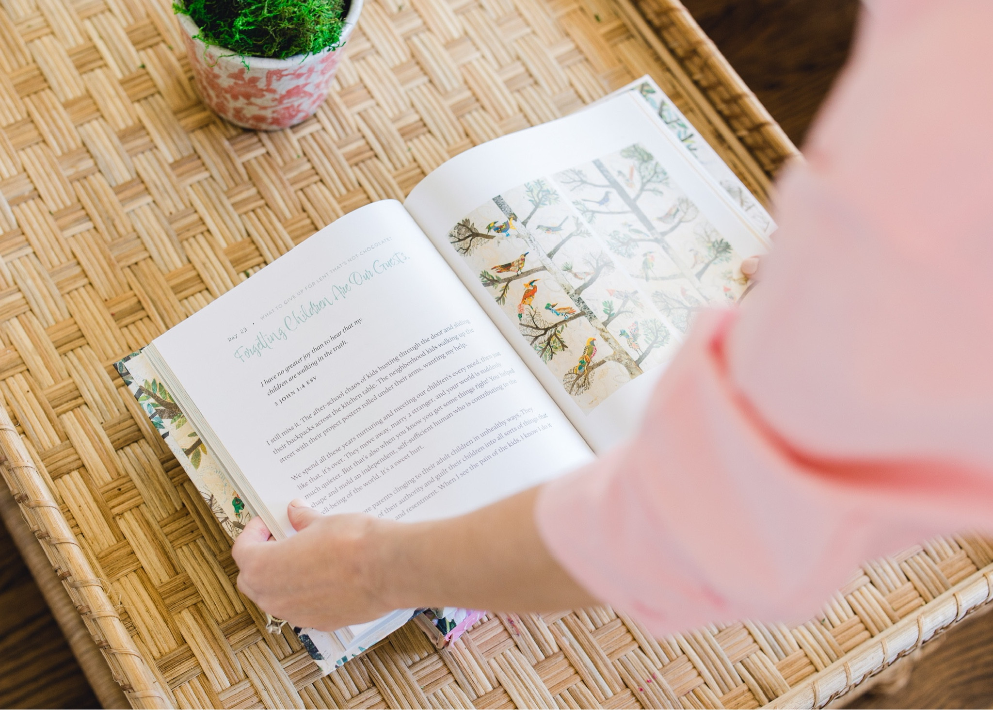 Love this coffee table book! Linked my coffee table from Serena and Lily and similar button down shirt options, too!

#LTKhome #LTKunder100 #LTKFind