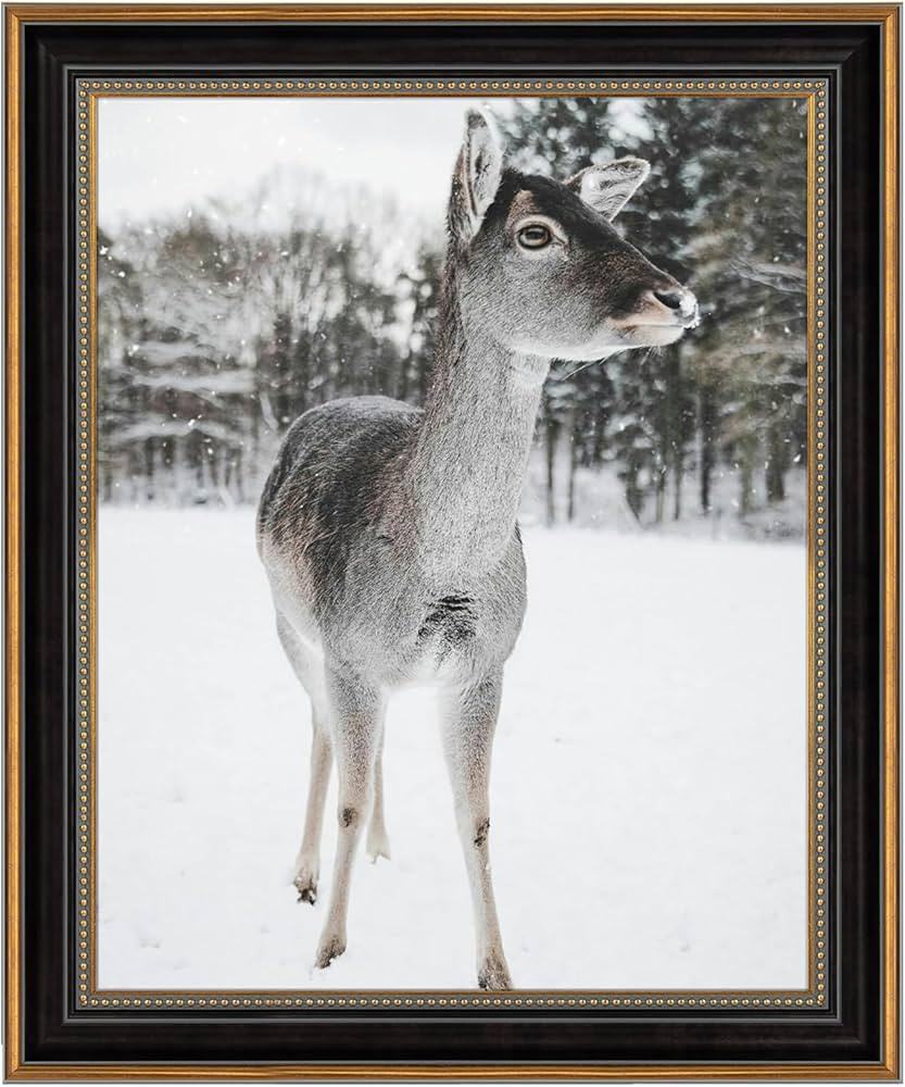AUEAR, 16x20 Picture Frame Without Mat to Display 16x20 Poster/Photo/Print, Tempered Glass Wall M... | Amazon (US)