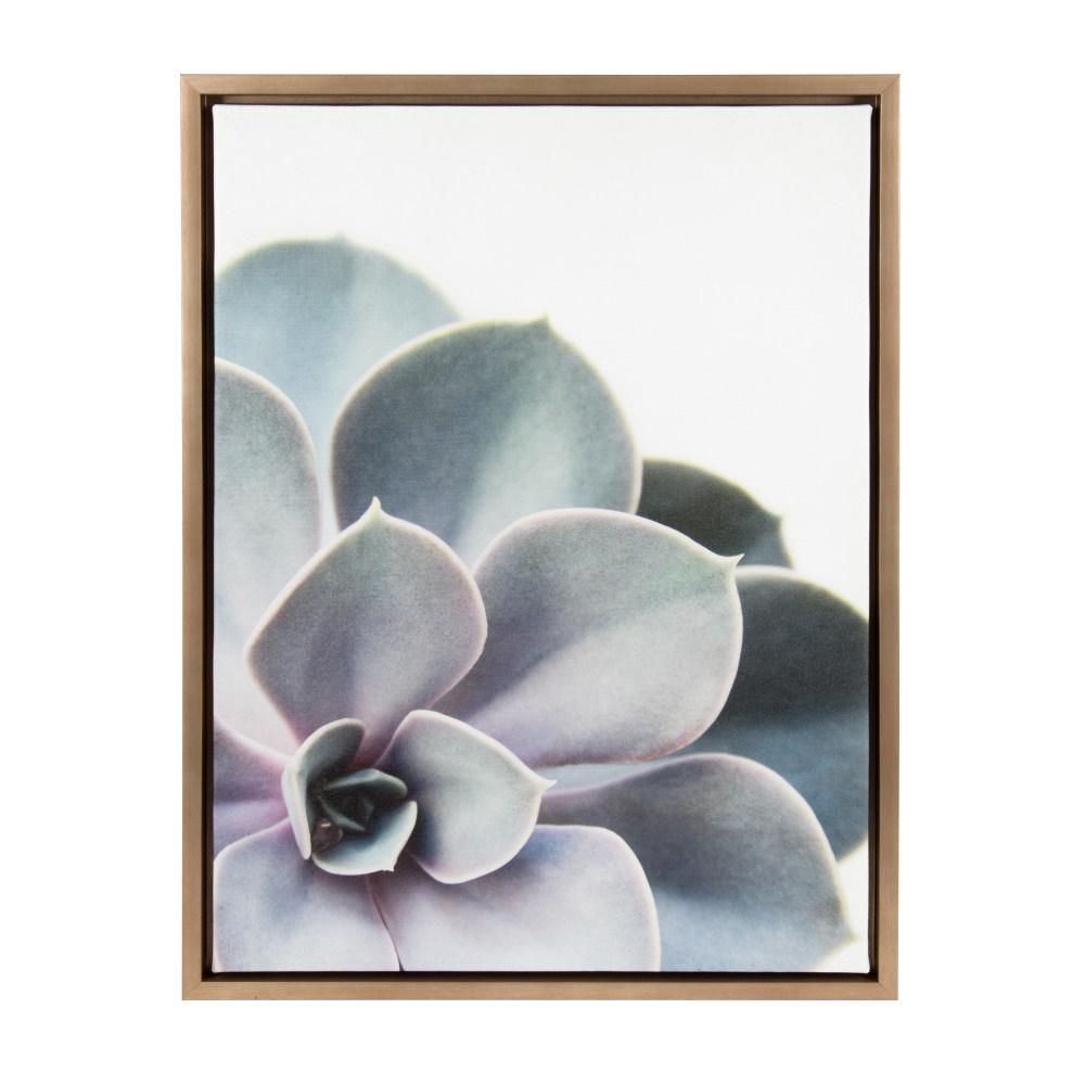 DesignOvation Sylvie "Succulent 5" by F2Images Framed Canvas Wall Art 211399 - The Home Depot | The Home Depot