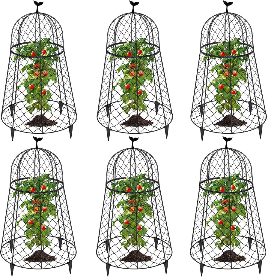 6 Packs Garden Cloches for Plants, Plant Protectors from Animals, Chicken Wire Cloche, Plant Cloc... | Amazon (US)