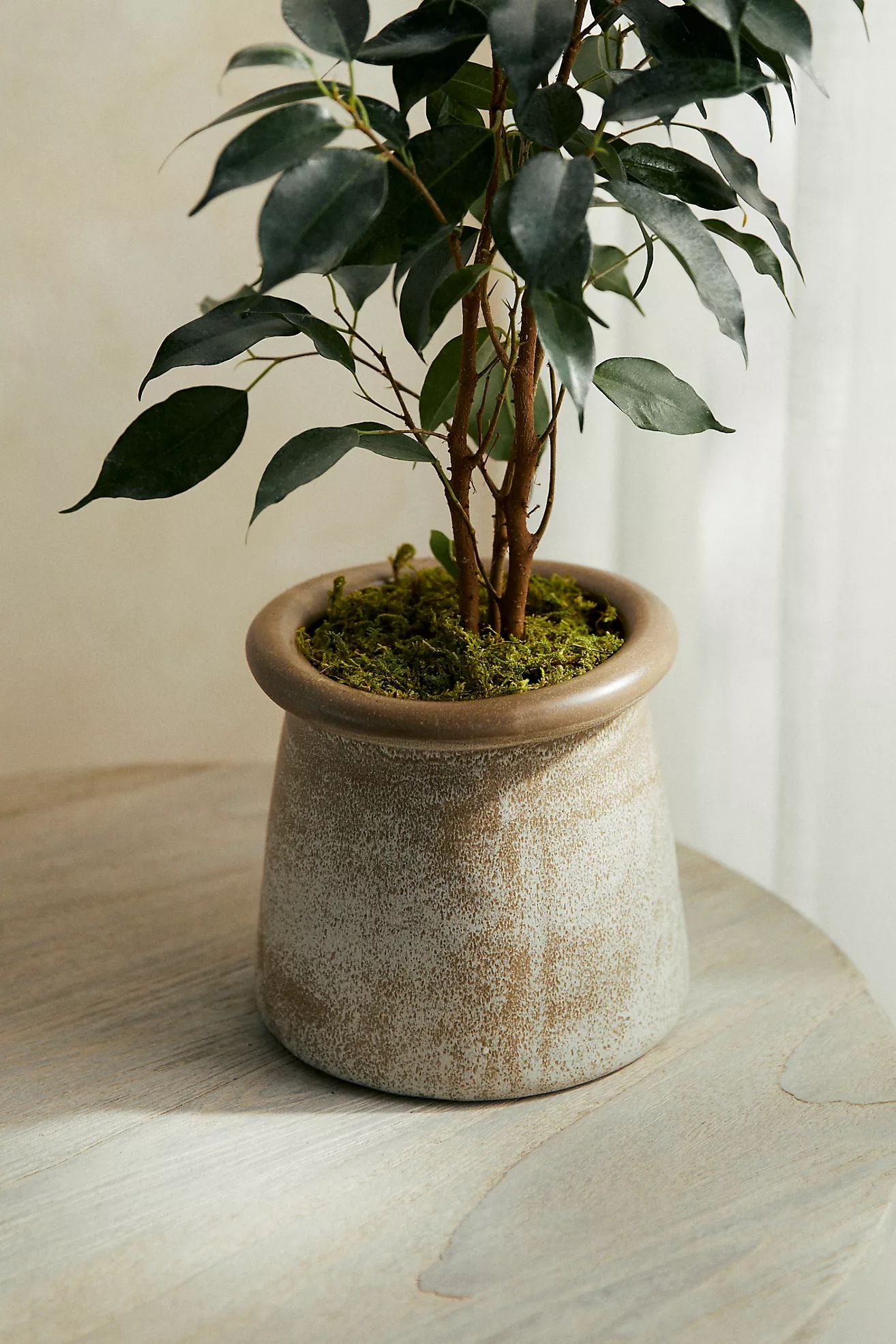 Rounded Top Ceramic Pot | Anthropologie (US)