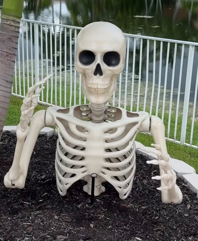 Back in stock!!
Walmart finds
Halloween decor
Halloween finds
Fall decor
Giant skeleton

#LTKhome