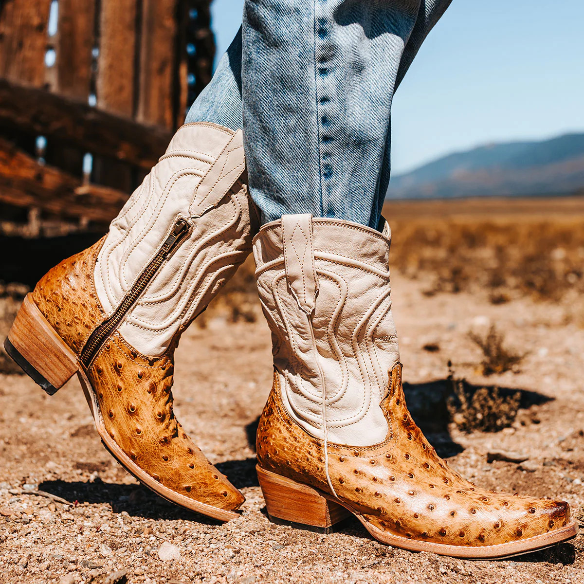 FREEBIRD STORES - WARRICK | Freebird Stores