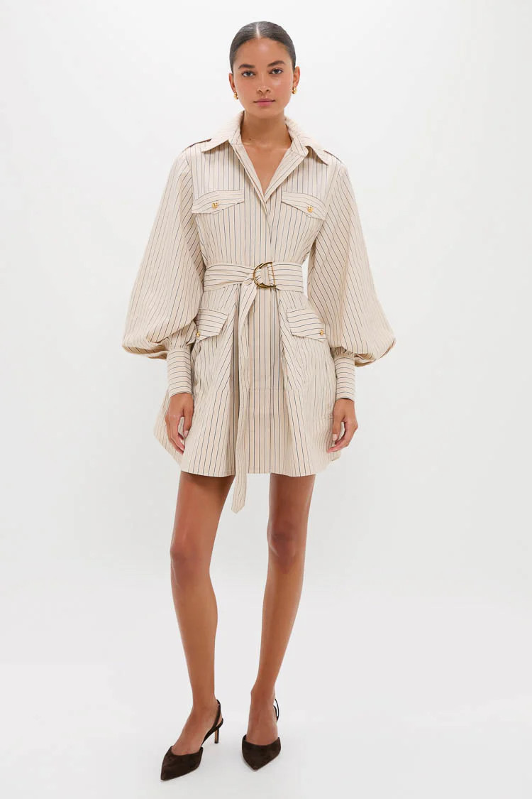 Almond Stripe Memento Utility Mini Dress | Tuckernuck (US)