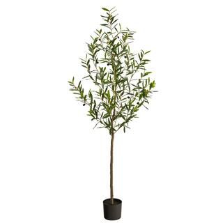 6ft. Potted Olive Tree | Michaels Stores