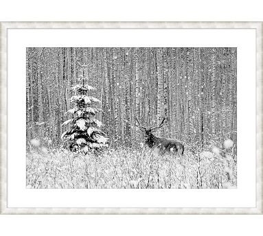 Forest Deer Framed Print | Pottery Barn (US)