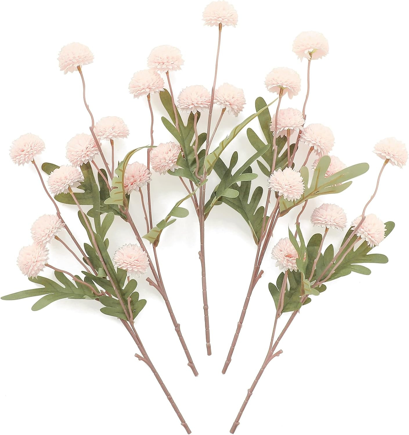 Blush | Amazon (US)