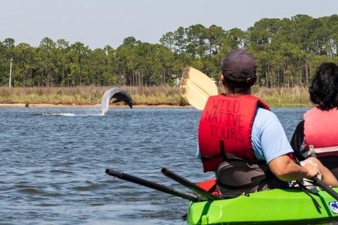 Dolphins and Wildlife Kayak Experience from Gulf Shores | Viator