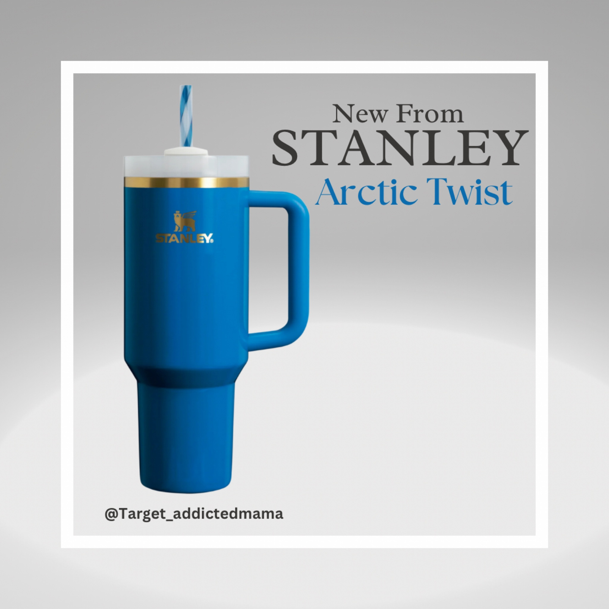 New Stanley Tumbler Arctic Twist
Stanley Cup 40oz Tumbler


#LTKU #LTKhome #LTKSeasonal