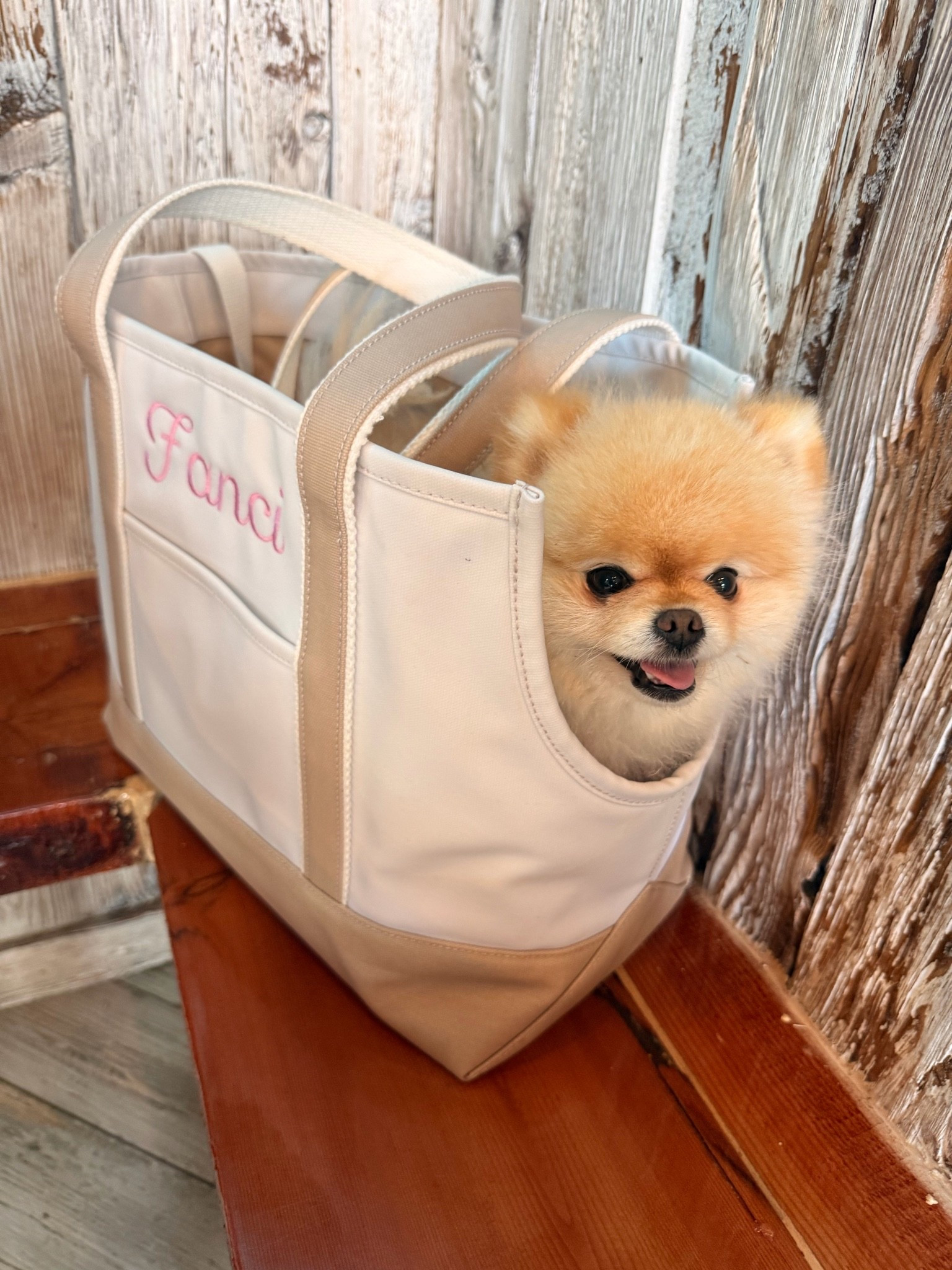 Fancis newest Carrier!! How cute!!
