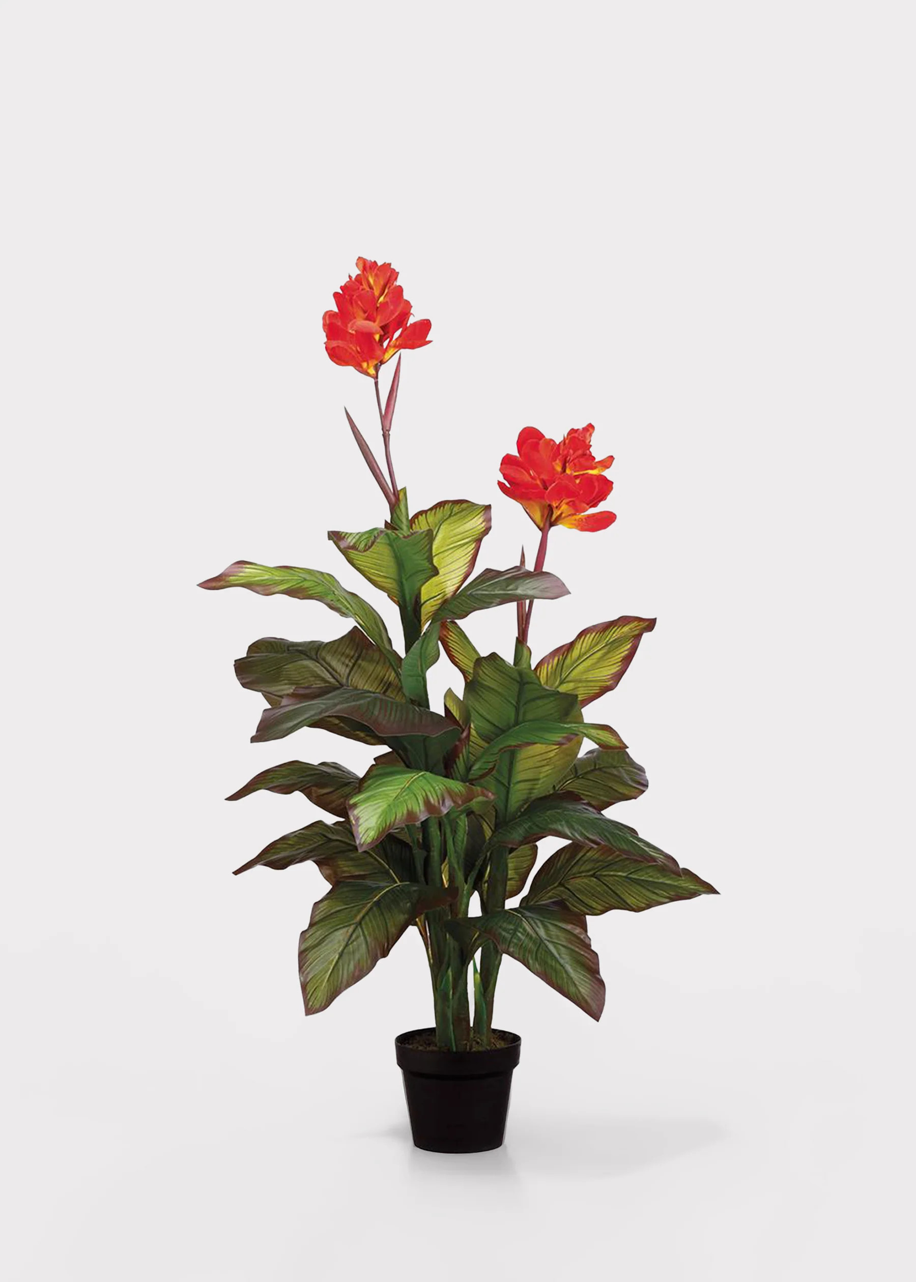 Red Fake Potted Blooming Tropical Canna Floor Plant - 48" | Afloral