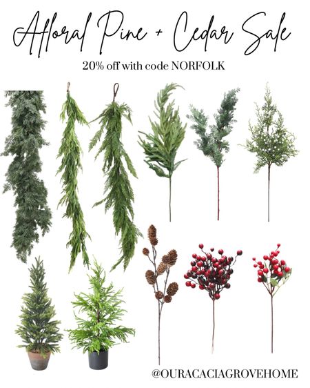 Afloral pine and cedar sale! 20% off with code NORFOLK. This is a great time to stock up for the holidays! I love their beautiful greenery and stems!

#LTKsalealert #LTKSeasonal #LTKhome