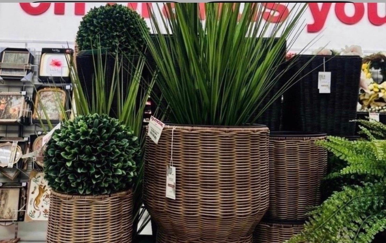 The secret to a green thumb? Good faux plants. 🌿 I am obsessed with these woven hourglass planters and the texture they add to a room. Pro tip: mix different heights and leaf styles to make your indoor jungle look intentional and lush. Found these gems today and had to share! 🪴✨

#LTKHome