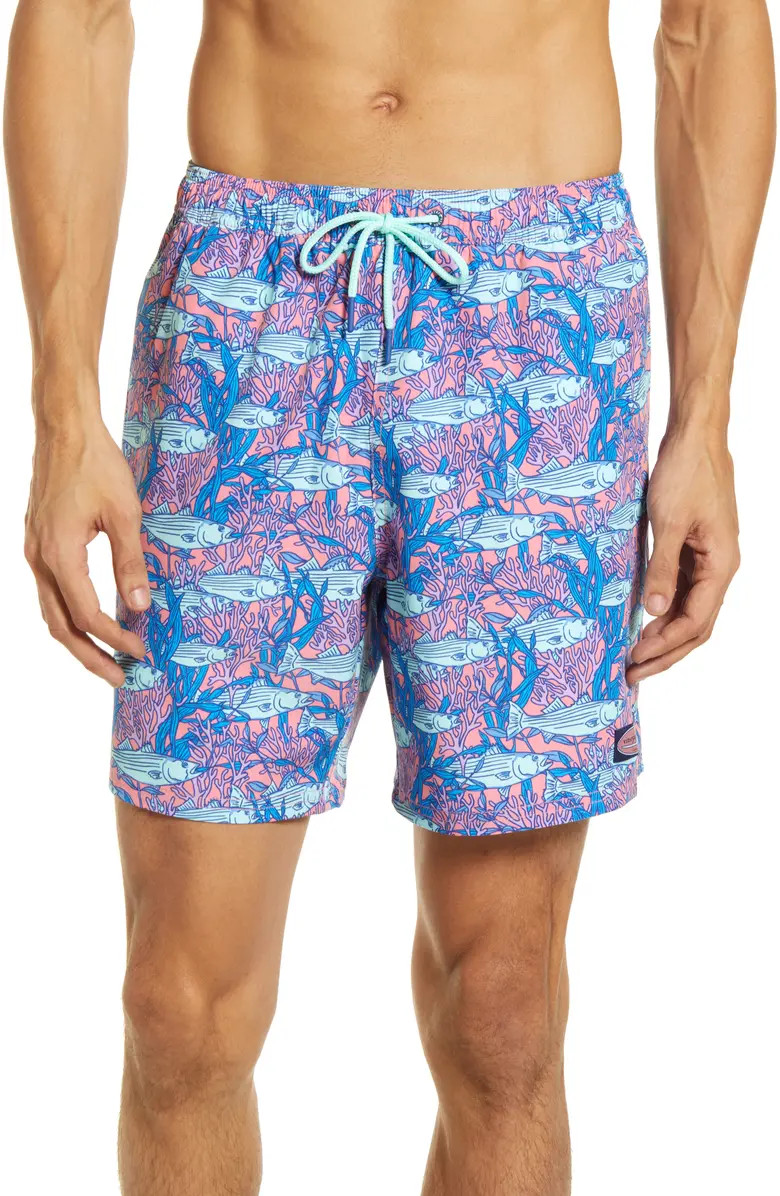 Chappy Stripe Swim Trunks | Nordstrom