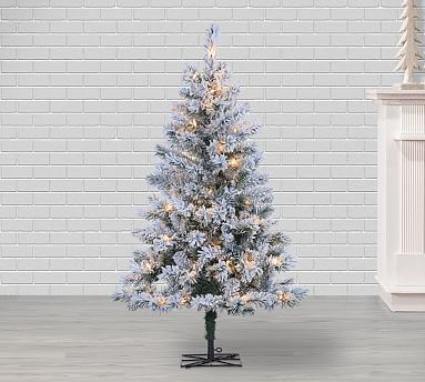 4ft Pre-Lit Flocked Colorado Spruce Artificial Christmas Tree | Pottery Barn (US)