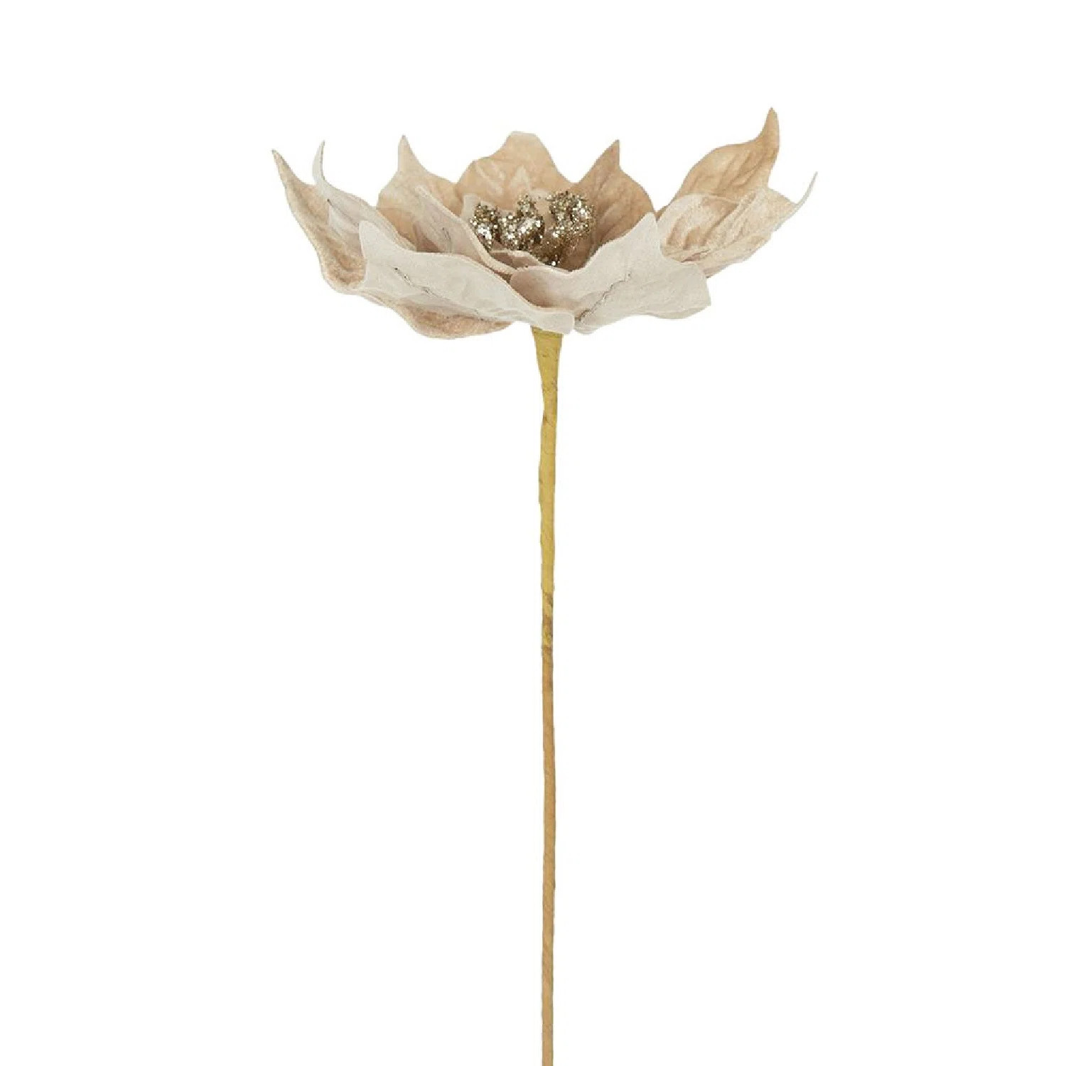 The Holiday Aisle® Velvet Poinsettia Stems - Set of 12 - Cream | Wayfair | Wayfair North America