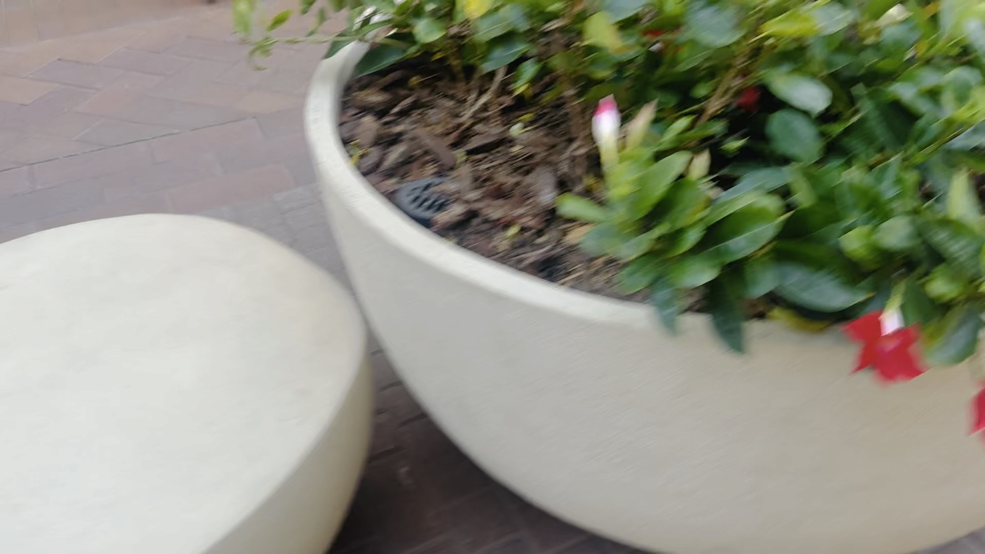 #outdoorplanter

#LTKHome #LTKWatchNow