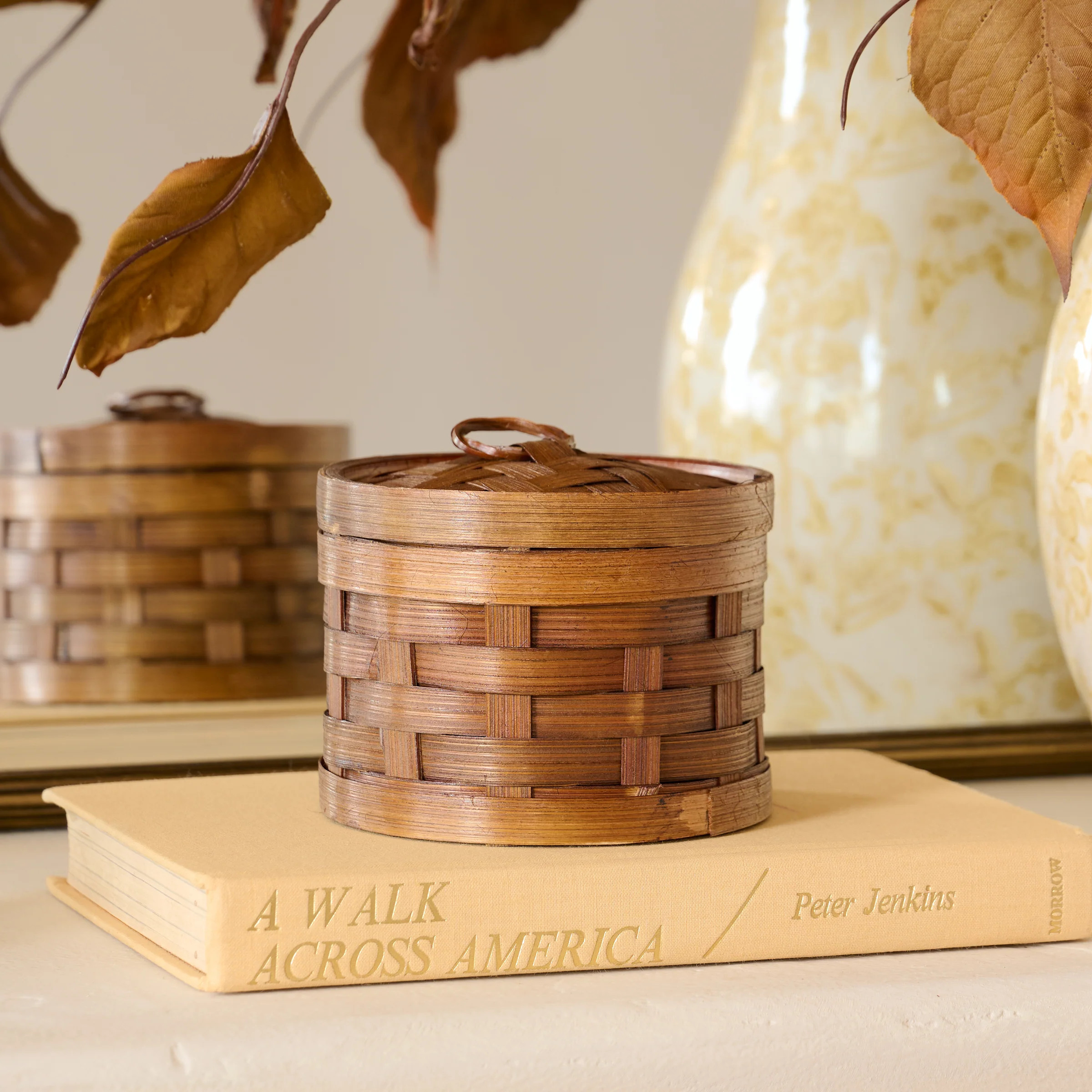 Beckett Decorative Woven Canister | Magnolia