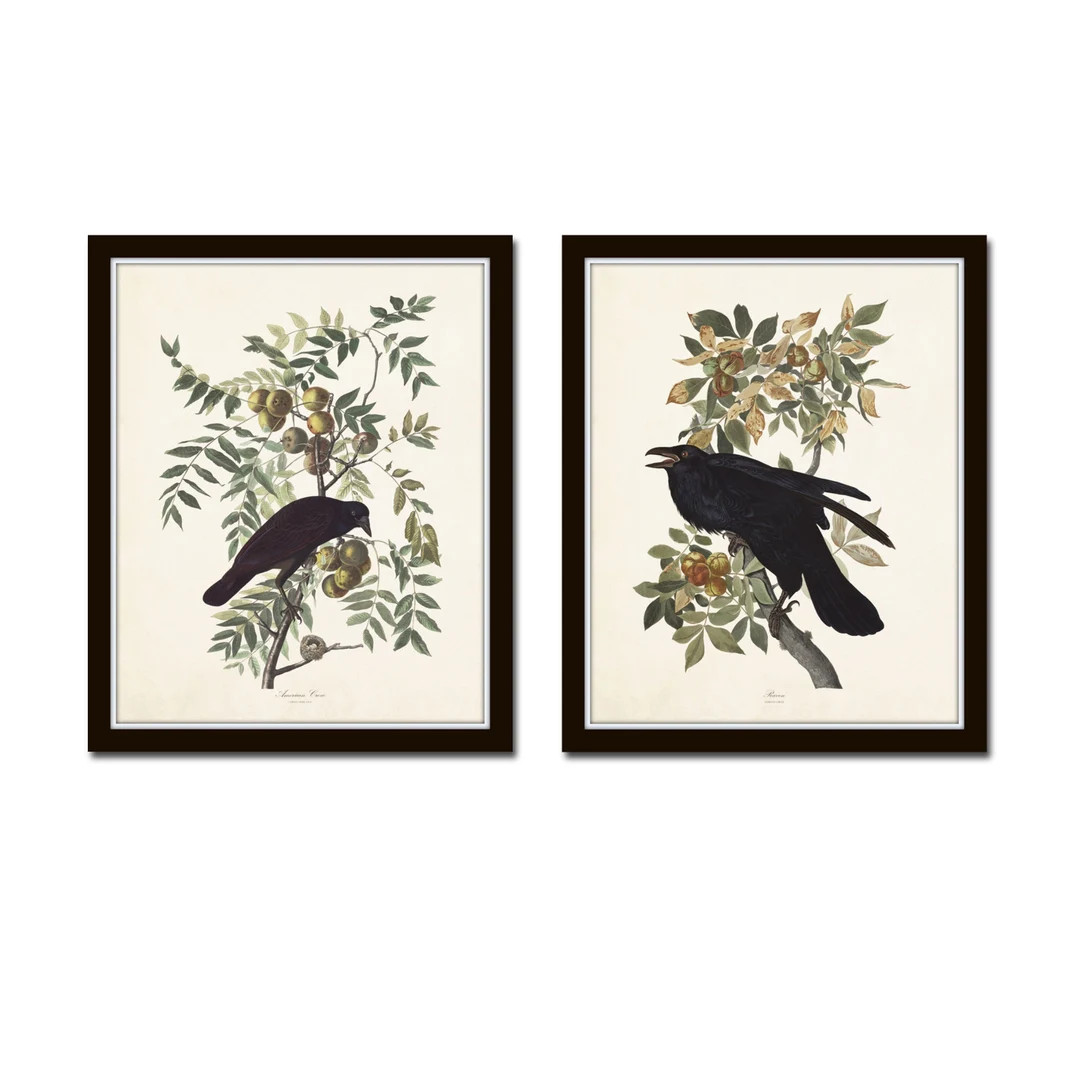 Audubon Raven and Crow Print Set No. 9, Art Prints, Vintage Bird Prints, Wall Art, Prints, Giclee... | Etsy (US)