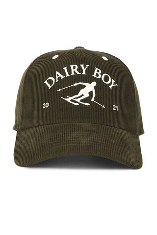 Dairy Boy Mountain Corduroy Trucker Hat in Pine from Revolve.com | Revolve Clothing (Global)