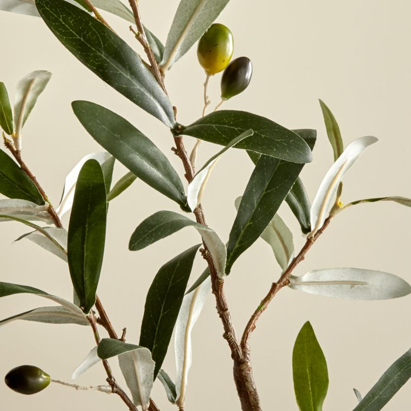 Artificial/Faux Olive Stem + Reviews | Crate and Barrel | Crate & Barrel