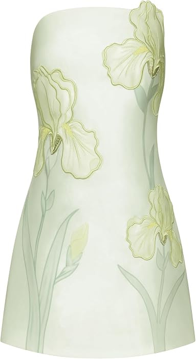 JW PEI Women's 3D Floral Appliqu\u00e9 Strapless Mini Dress | Amazon (US)