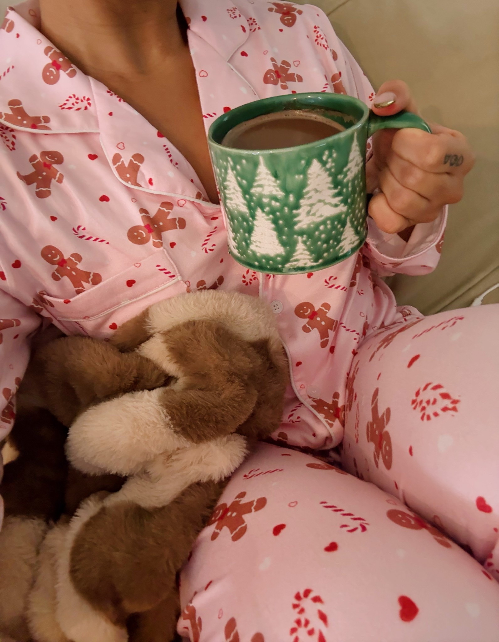 Christmas pjs🩷

#LTKHoliday #LTKSeasonal #LTKFindsUnder50