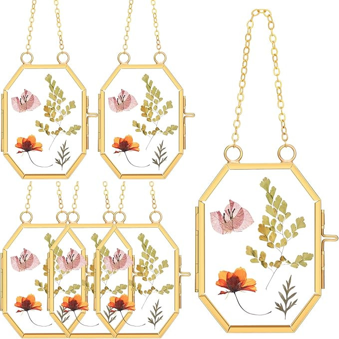 Marsui Set of 6 Double Glass Frame for Pressed Flowers 2.5 x 3.5 Inch Hanging Glass Photo Frame O... | Amazon (US)