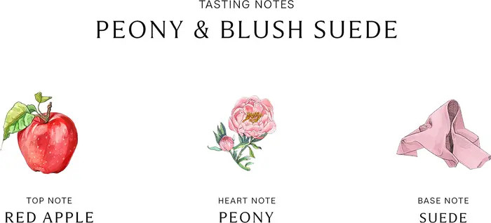Peony & Blush Suede Scented Home Candle | Nordstrom
