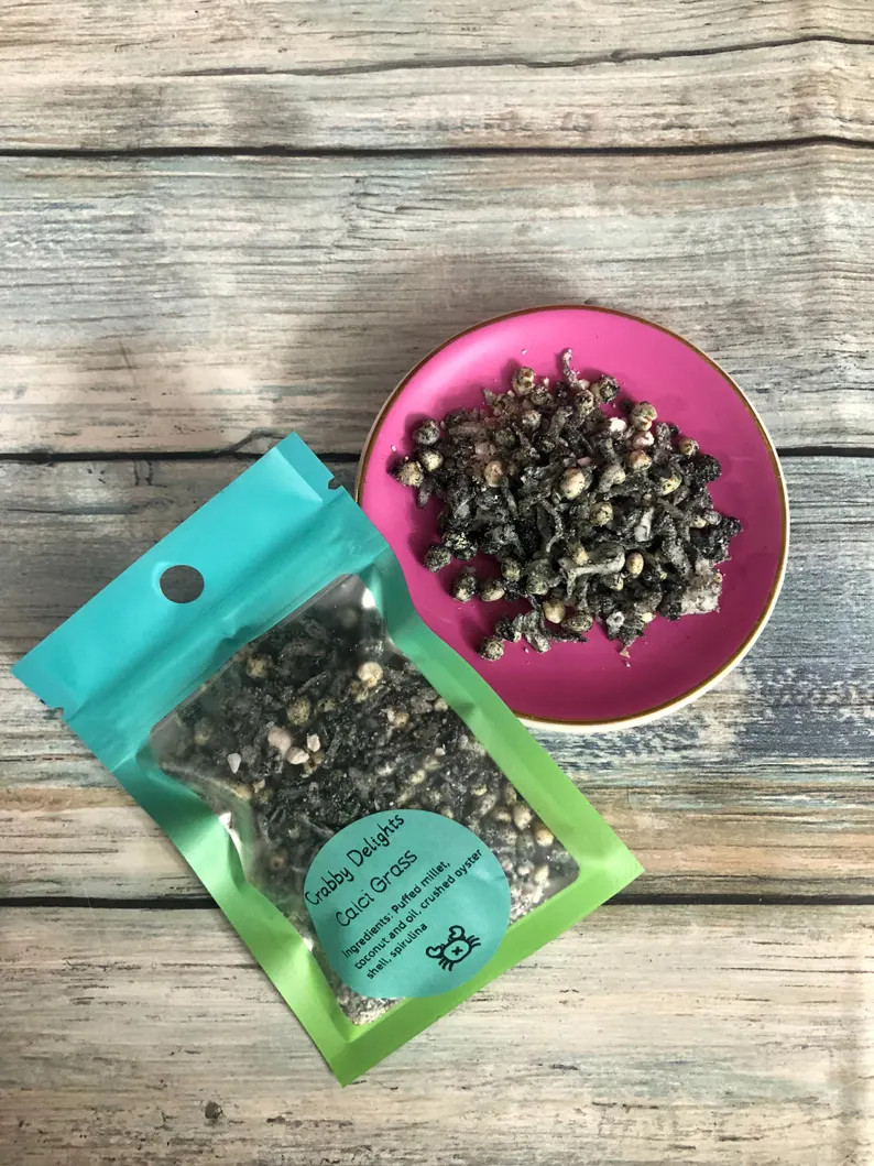 Calci Grass: Easter Themed Calcium Treat - Etsy | Etsy (US)