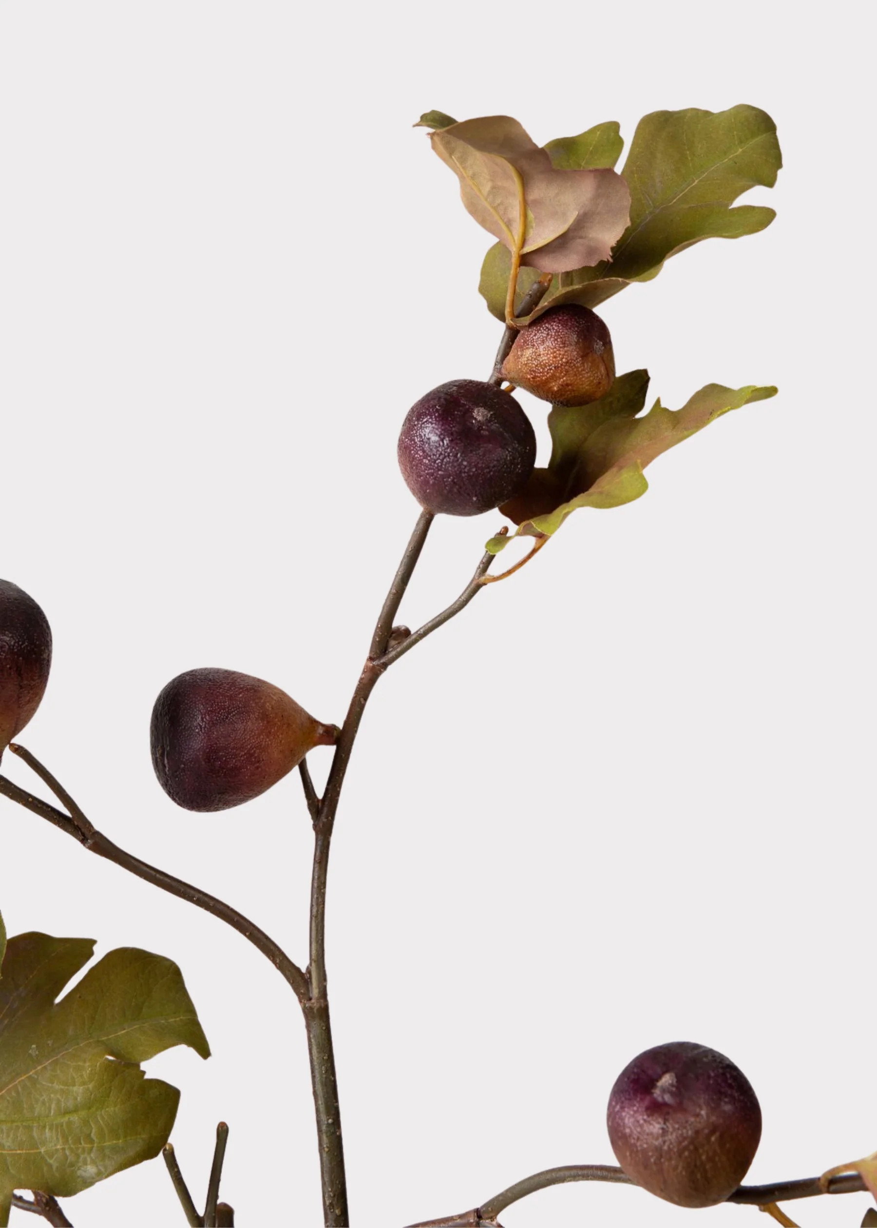 Dried Look Faux Fig Branch | Shop Botanicals at Afloral | Afloral
