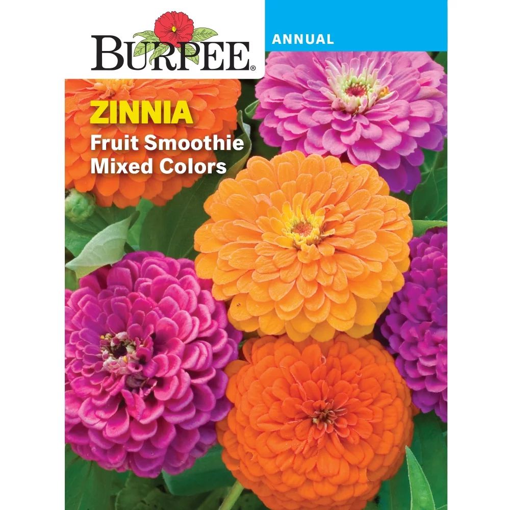 Burpee Fruit Smoothie Mixed Colors Zinnia Flower Seed, 1-Pack | Walmart (US)