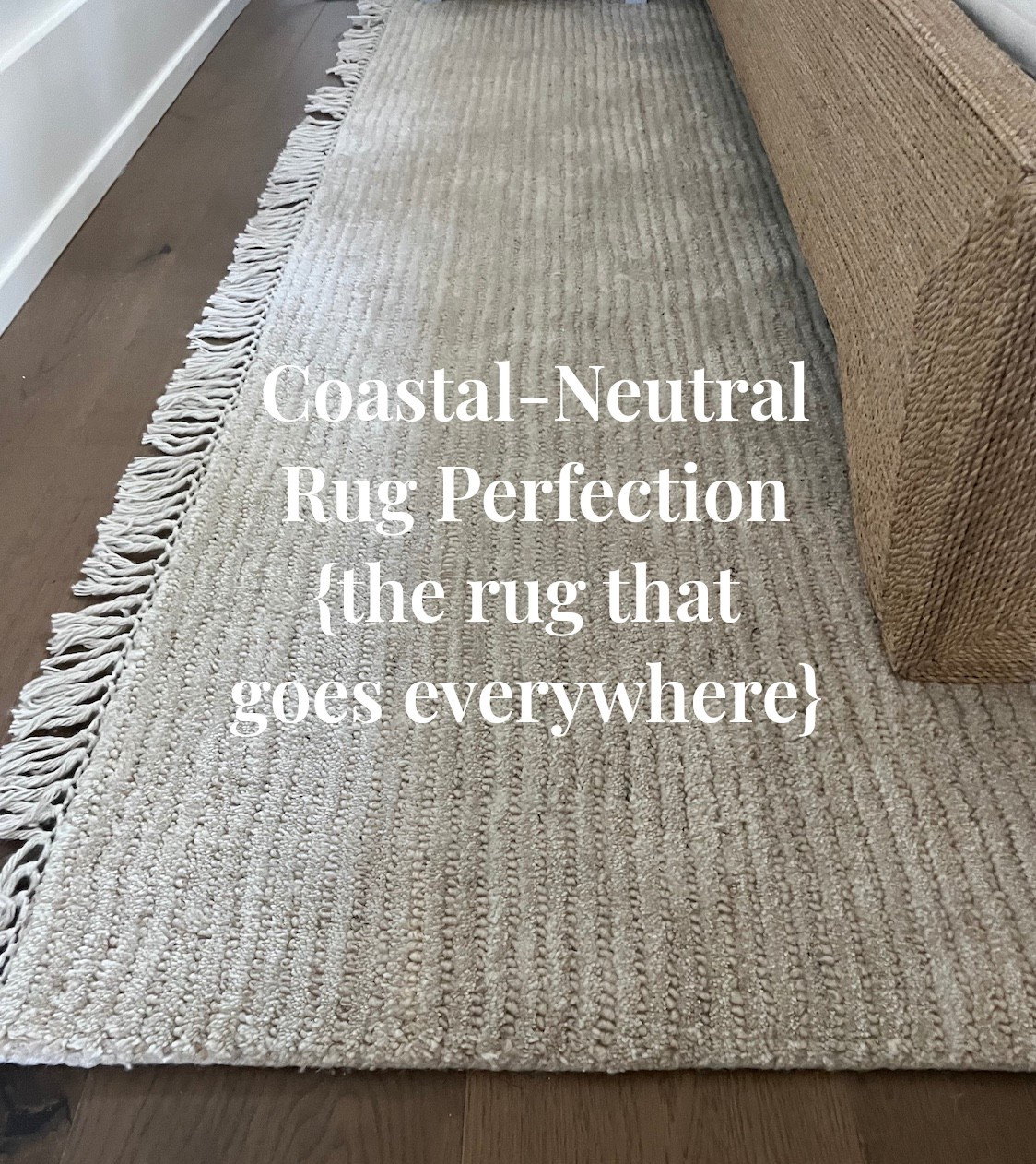 Struggling to find a rug that goes with everything?
This Pottery Barn beauty is it, soft underfoot, warm neutral tones, and just enough texture to elevate a room without overpowering it.

Shop it ↓


#potterybarn #ruggoals #coastalneutral #quietluxuryhome #bedroominspo #neutraldecor

#LTKStyleTip #LTKHome