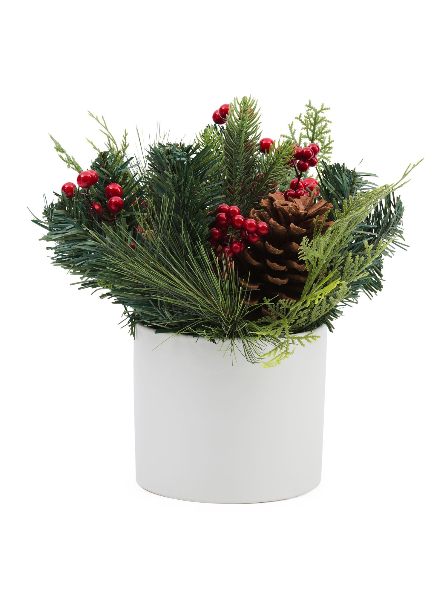 13.5in Pinecone Pine & Berry In Ceramic Pot | Plants & Planters | Marshalls | Marshalls