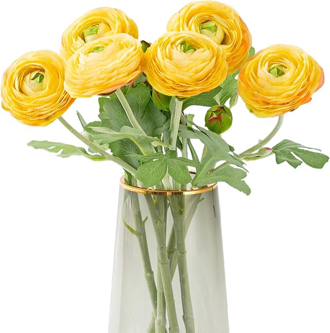 Artificial Ranunculus Flowers with Real Touch Stem, Silk Ranunculus Flowers (Yellow, 6pcs) | Amazon (US)