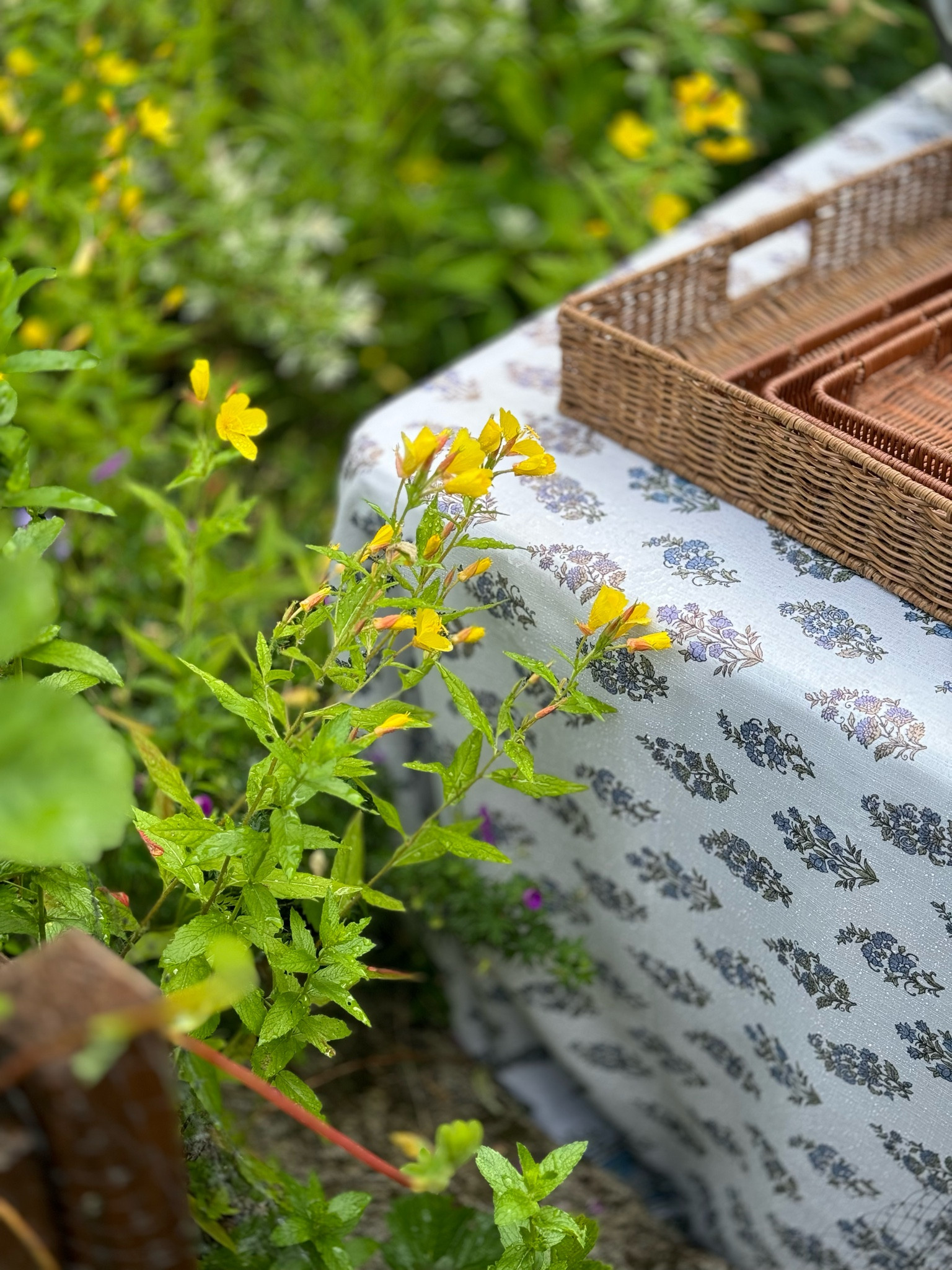 A waterproof tablecloth that is actually waterproof. We leave it outside on a folding table! 

Amazon, plastic wicker, outdoor decor, outdoor entertaining 

#LTKHome #LTKSeasonal #LTKFindsUnder50
