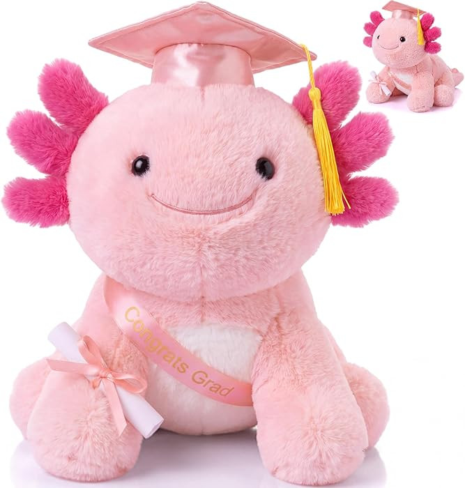 HyDren 2026 Graduation Gifts Plush Axolotl 10 Inch Stuffed Animal Signature for Class of 2026 Gra... | Amazon (US)